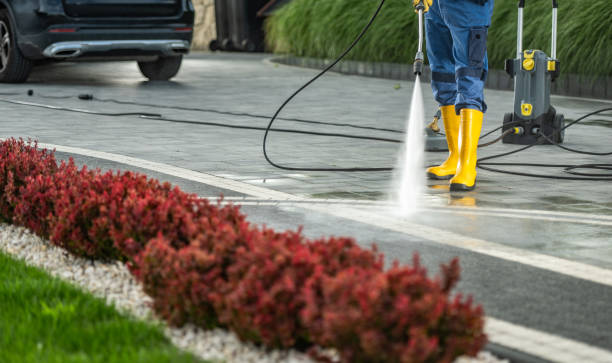 Best Sidewalk and Walkway Cleaning  in Santa Rosa, NM